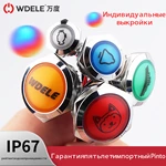 Пользовательский индикатор серии WD-L с проводом